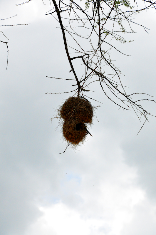 Melanie Heinrich Travel Images Africa